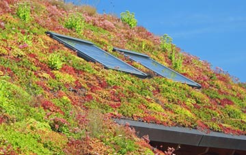 Knolls Green living roof systems